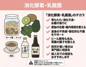 乳酸菌 消化酵素