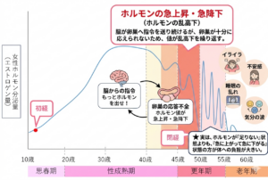 更年期 ホルモンの変動グラフ