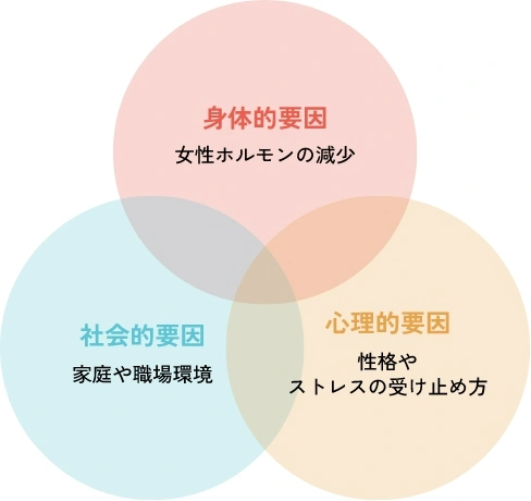 更年期の不調の要因
