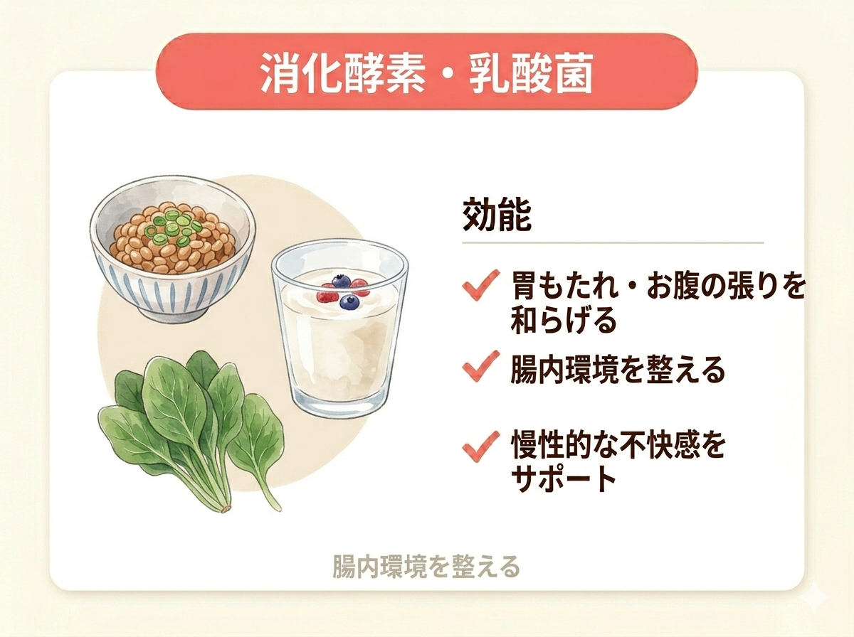 乳酸菌 消化酵素